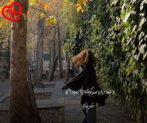 دانلود آهنگ آهنگ  یکی یدونه دل من عو عی عا از A E O  به همراه متن ترانه - کاور اصلی