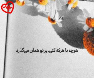دانلود آهنگ آهنگ آبادان شهر وفاست از شیلا به همراه متن ترانه - کاور اصلی