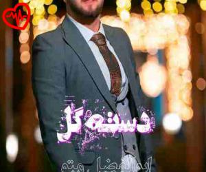 دانلود آهنگ آهنگ دسته گل از ابوالفضل متو به همراه متن ترانه - کاور اصلی