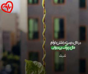 دانلود آهنگ آهنگ آخه همه جوره بات عشق میکنم تو کنار منی کیف میکنم از ابوالفضل وحیدیان به همراه متن ترانه - کاور اصلی