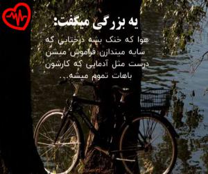کاور آهنگ باز ای الهه ی ناز از معین به همراه متن ترانه اثر معین