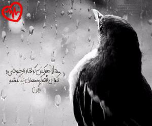 دانلود آهنگ آهنگ دنیا هی دنیا بیمه اسیره چاویل از علی احمدیانی به همراه متن ترانه