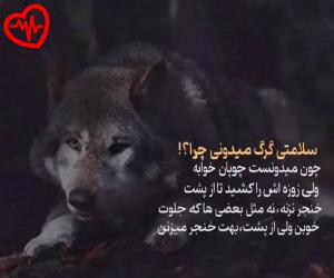 دانلود آهنگ آهنگ عه ای بدتر نمیبینی منه تو فقر و تنهایی از علی احمدیانی به همراه متن ترانه - کاور اصلی