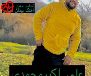 کاور آهنگ شیر پلنگ از علی اکبر محمدی به همراه متن ترانه اثر علی اکبر محمدی