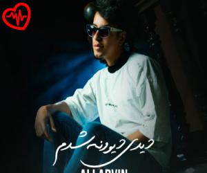 کاور آهنگ دیدی دیوونه شدم از علی آروین به همراه متن ترانه اثر علی آروین