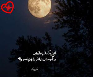 دانلود آهنگ آهنگ دریا کوه ها دامنه ها از علی سورنا به همراه متن ترانه