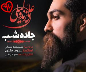 دانلود آهنگ آهنگ جاده شب از علی زندوکیلی به همراه متن ترانه