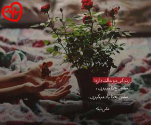 دانلود آهنگ آهنگ  فکر زنجیری کنید ای عاقلان از Alireza Ghorbani به همراه متن ترانه - کاور اصلی