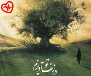دانلود آهنگ آهنگ در زلف تو آویزم از علیرضا قربانی به همراه متن ترانه