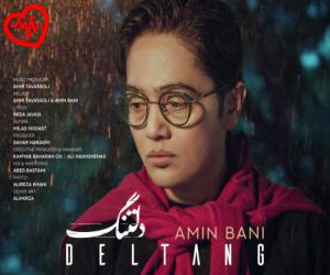 دانلود آهنگ آهنگ دلتنگ از امین بانی به همراه متن ترانه - کاور اصلی