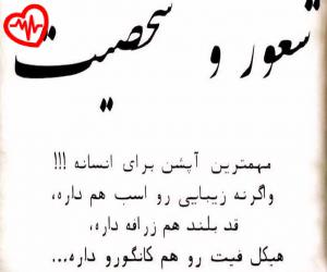 کاور آهنگ الان بگو مثه من اونم میمیره برات از امین فالجی به همراه متن ترانه اثر امین فالجی