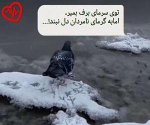دانلود آهنگ آهنگ کتر خیری انا مش مبينالو از شیرین به همراه متن ترانه - کاور اصلی