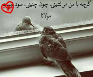دانلود آهنگ آهنگ آرزو از گروه شش بعلاوه یک به همراه متن ترانه - کاور اصلی
