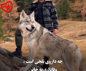 کاور آهنگ  اهنگ ای گوزلیم سن منیم با صدای زن از Ay Guzalim Sedaye Zan به همراه متن ترانه اثر Ay Guzalim Sedaye Zan