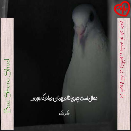 آهنگ  باز شروع شد زر زدناشون پشتم تو هر جمع از Baz Shoro Shod به همراه متن ترانه