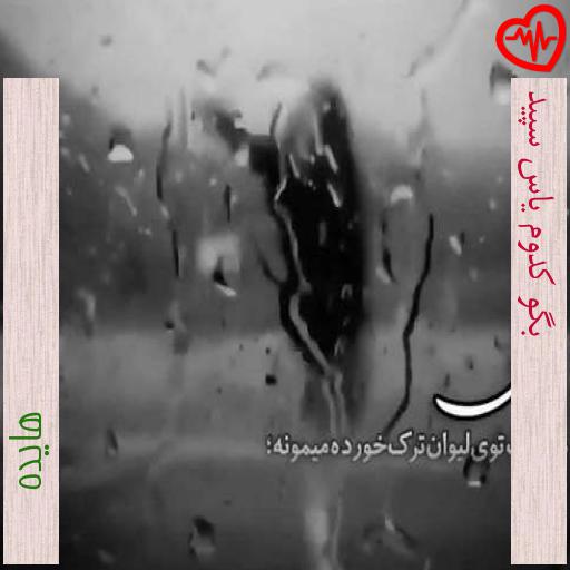 آهنگ بگو کدوم یاس سپید از هایده به همراه متن ترانه آهنگ بگو کدوم یاس سپید از هایده به همراه متن ترانه