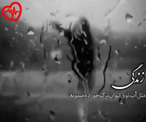 کاور آهنگ بگو کدوم یاس سپید از هایده به همراه متن ترانه اثر هایده