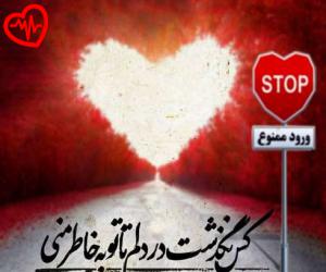 دانلود آهنگ آهنگ سارالمیش باغبان لای لای از بهنام تخت مینا به همراه متن ترانه - کاور اصلی