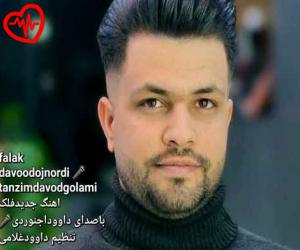 کاور آهنگ فلک از داوود اجنوردی به همراه متن ترانه اثر داوود اجنوردی