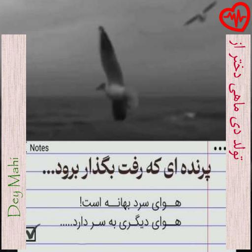 آهنگ تولد دی ماهی دختر از از Dey Mahi به همراه متن ترانه آهنگ تولد دی ماهی دختر از از Dey Mahi به همراه متن ترانه