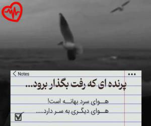 دانلود آهنگ آهنگ  تولد دی ماهی دختر از از Dey Mahi  به همراه متن ترانه - کاور اصلی