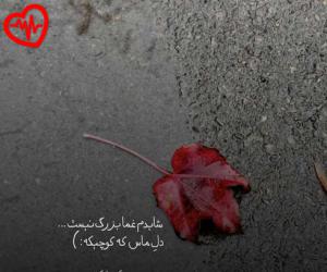 کاور آهنگ عشق مه رفت دیگه رفت میده کده قلبمه از دیسلاو افغانی به همراه متن ترانه اثر دیسلاو افغانی