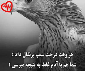 دانلود آهنگ آهنگ باجی از دی جی ملورین به همراه متن ترانه