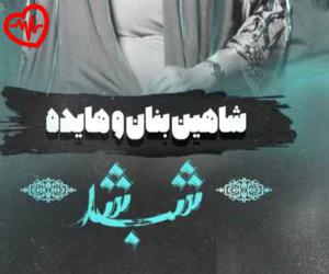دانلود آهنگ آهنگ شب شد هواتو کردم‌ دوره تو بگردم از دیجی سونامی به همراه متن ترانه