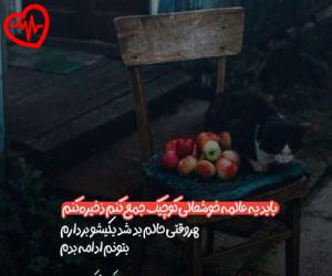 دانلود آهنگ آهنگ  دوگیه گونگوگه دینگه دینگی دوره راره (اسکویید گیم) از Dogoye Gongoge Dinge به همراه متن ترانه - کاور اصلی