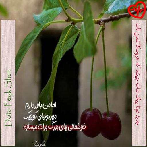 آهنگ  جدید دوتا پیک شات چیشد که عروسکا شدن لات از Dota Peyk Shat به همراه متن ترانه