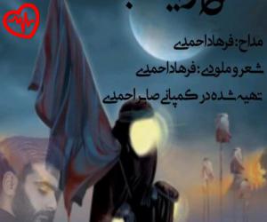 کاور آهنگ داغ زینب از فرهاد احمدی به همراه متن ترانه اثر فرهاد احمدی