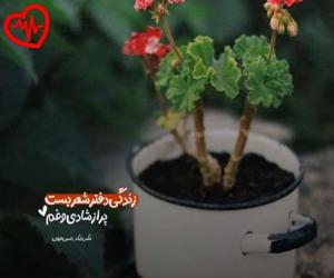 دانلود آهنگ آهنگ فریبا از داوود مقامی به همراه متن ترانه - کاور اصلی