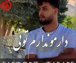 کاور آهنگ دارمو ندارم تونی از فریبرز تبابه به همراه متن ترانه اثر فریبرز تبابه