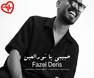 دانلود آهنگ آهنگ حبیبی یا نورالعین از فاضل دریس به همراه متن ترانه - کاور اصلی