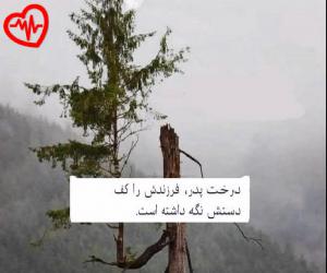 دانلود آهنگ آهنگ  فکر نکن فیلسوفی بیا تجریش میکنیم فیل از Fekr Nakon به همراه متن ترانه - کاور اصلی
