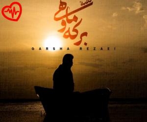 کاور آهنگ قصه برکه و ماهی از گرشا رضایی به همراه متن ترانه اثر گرشا رضایی