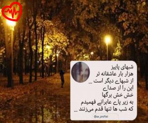 کاور آهنگ  a b c d e you and your mom از Gayle به همراه متن ترانه اثر Gayle