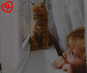 دانلود آهنگ آهنگ گفتم چیه عاشقی اصلا از اینستا به همراه متن ترانه - کاور اصلی