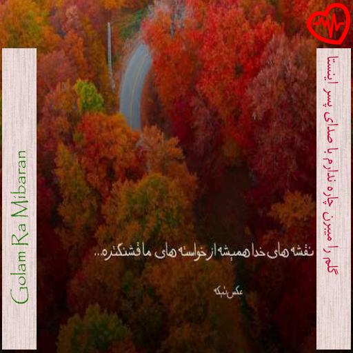 آهنگ گلم را میبرن چاره ندارم با صدای پسر اینستا از Golam Ra Mibaran به همراه متن ترانه آهنگ گلم را میبرن چاره ندارم با صدای پسر اینستا از Golam Ra Mibaran به همراه متن ترانه