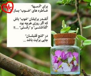 کاور آهنگ گل خشک توی گلدون بهمم میریزه از طبیب به همراه متن ترانه اثر طبیب