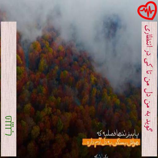 آهنگ گوید به من دل من تا کی در انتظاری از حبیب به همراه متن ترانه آهنگ گوید به من دل من تا کی در انتظاری از حبیب به همراه متن ترانه