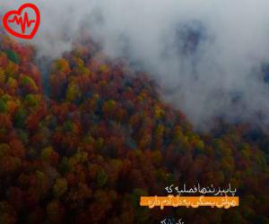 دانلود آهنگ آهنگ گوید به من دل من تا کی در انتظاری از حبیب به همراه متن ترانه