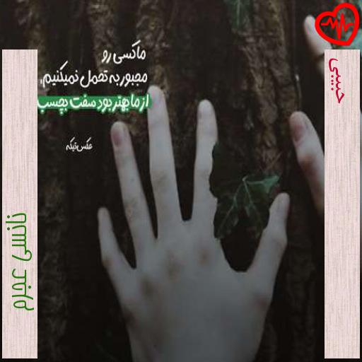 آهنگ حبیبی از نانسی عجرم به همراه متن ترانه