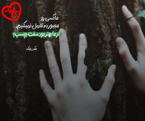 دانلود آهنگ آهنگ حبیبی از نانسی عجرم به همراه متن ترانه - کاور اصلی