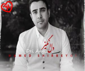 کاور آهنگ دل انگیز از حامد شیربیگی به همراه متن ترانه اثر حامد شیربیگی