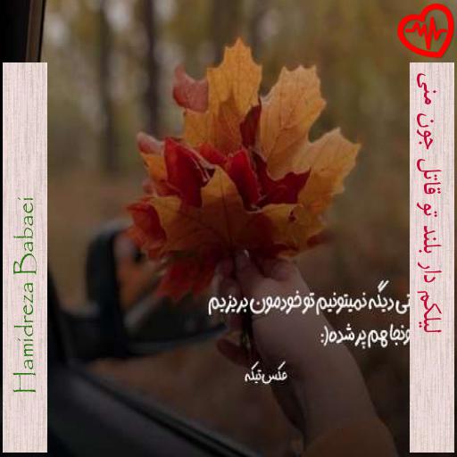 آهنگ  لیلکم دار بلند تو قاتل جون منی از Hamidreza Babaei به همراه متن ترانه