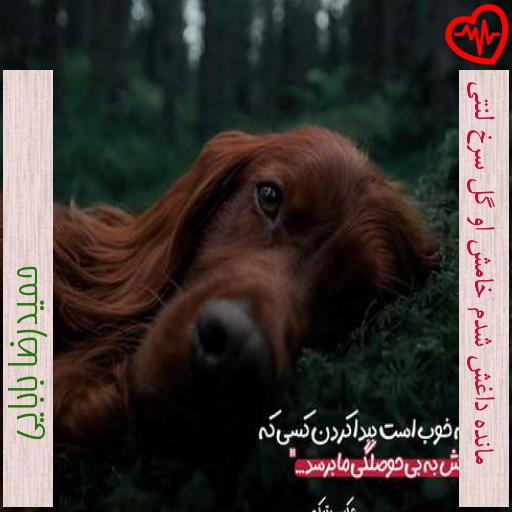 آهنگ مانده داغش شدم خامش او گل سرخ لنتی از حمیدرضا بابایی به همراه متن ترانه آهنگ مانده داغش شدم خامش او گل سرخ لنتی از حمیدرضا بابایی به همراه متن ترانه