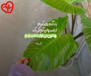 دانلود آهنگ آهنگ هرگز هرگز از عهدیه به همراه متن ترانه