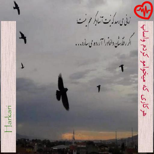 آهنگ هرکاری که میخوامو کردم واساپ از Harkari به همراه متن ترانه آهنگ هرکاری که میخوامو کردم واساپ از Harkari به همراه متن ترانه