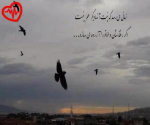 دانلود آهنگ آهنگ  هرکاری که میخوامو کردم واساپ از Harkari  به همراه متن ترانه - کاور اصلی